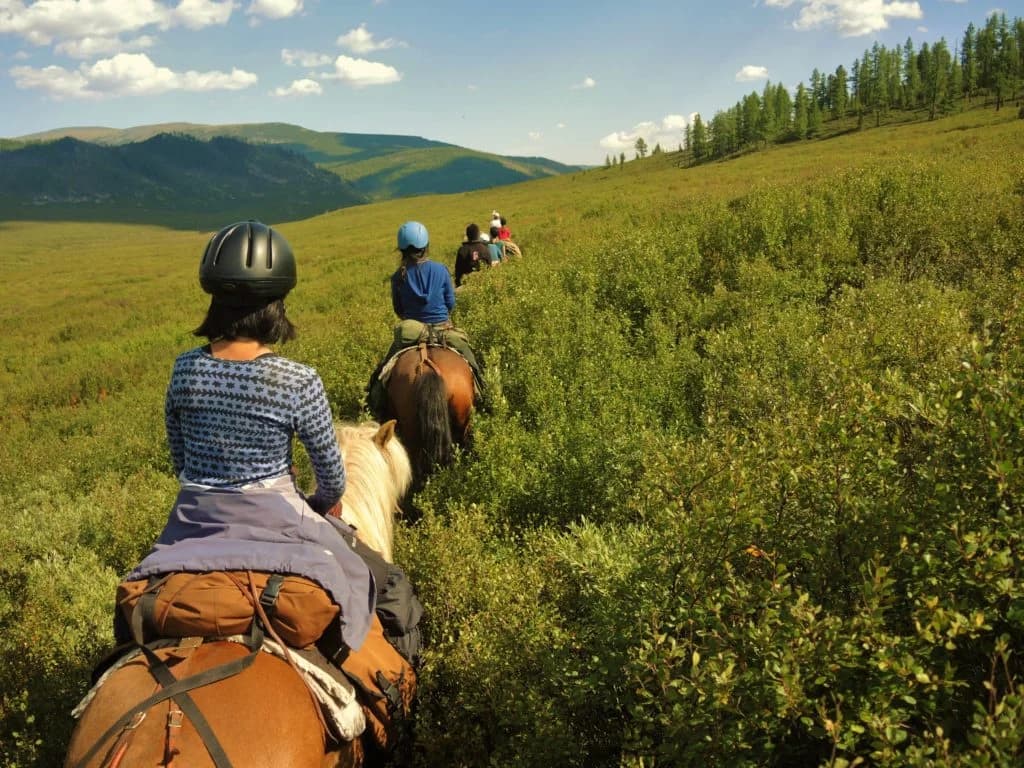 Horse Riding